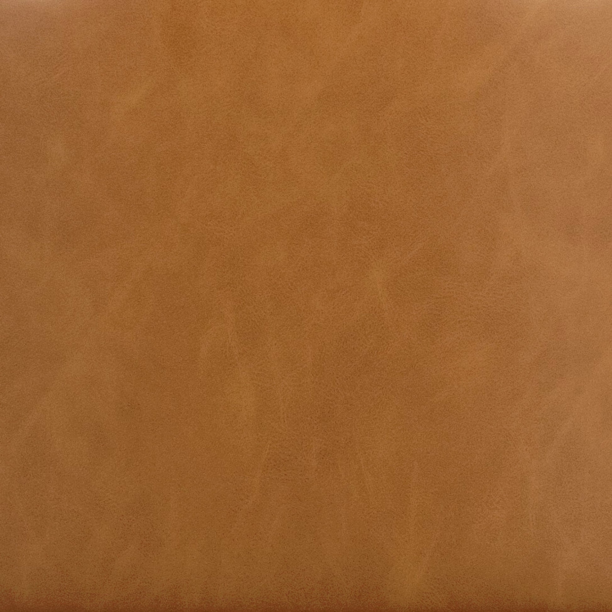 Astrud Dining Chair by Four Hands. Made from unique in a modern style.