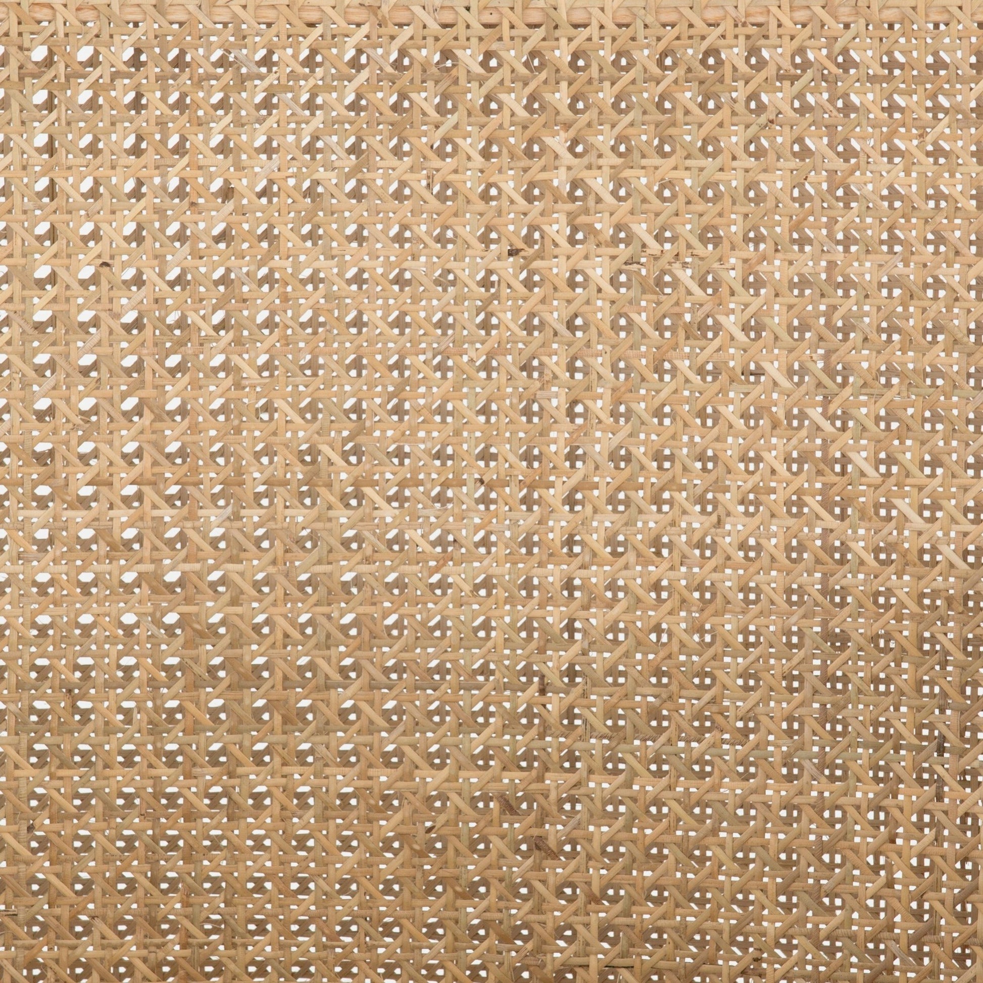 Antonia Cane Dining Armchair by Four Hands in light natural cane, brushed ebony, savile flax. Made from 92% polyester, 8% flax, linen, solid nettlewood, cane in a modern style.