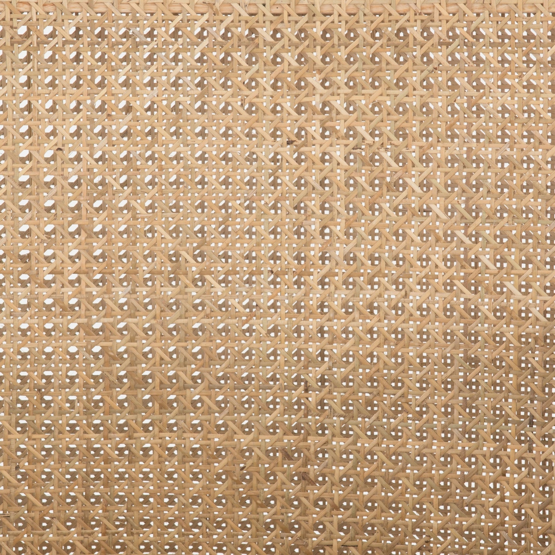 Antonia Cane Dining Armchair by Four Hands in light natural cane, brushed ebony, savile flax. Made from 92% polyester, 8% flax, linen, solid nettlewood, cane in a modern style.