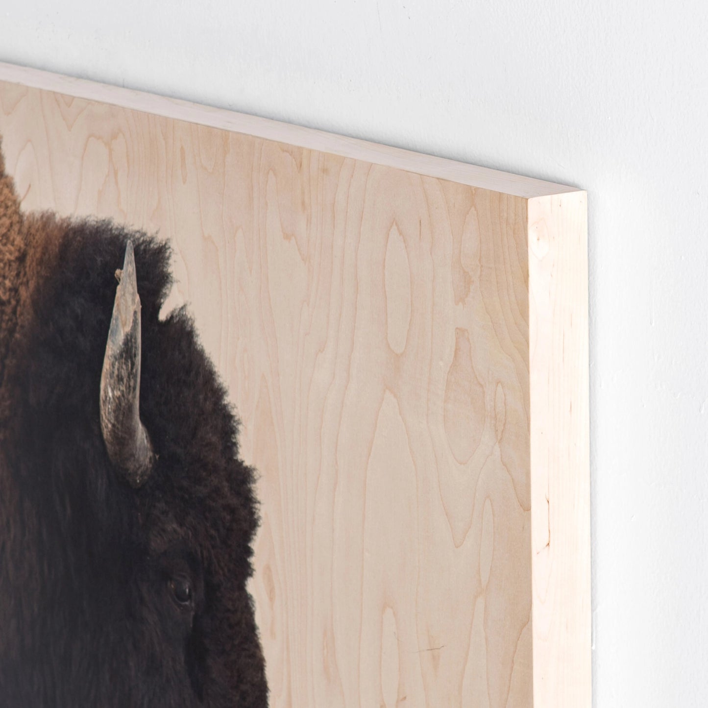 008 SI-2000926 | Closeup | American Bison by Getty Images by Four Hands. Made from maple box in a rustic style.