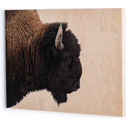 American Bison by Getty Images by Four Hands. Made from maple box in a rustic style.
