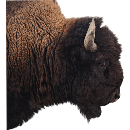 American Bison by Getty Images by Four Hands. Made from maple box in a rustic style.