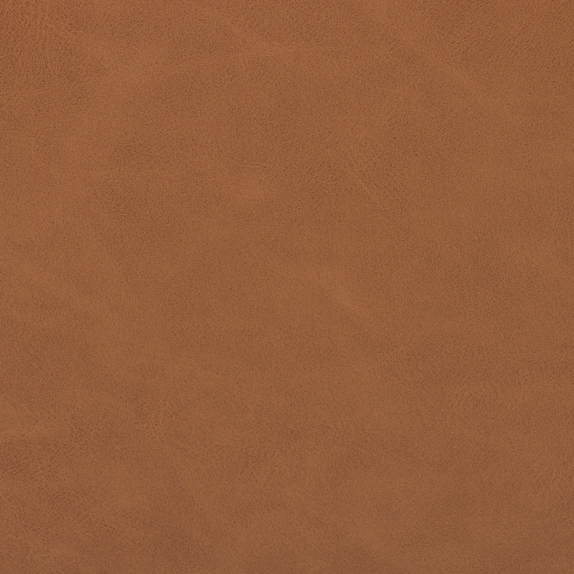 Reuben Dining Chair by Four Hands. Made from unique in a cottage & farmhouse style.