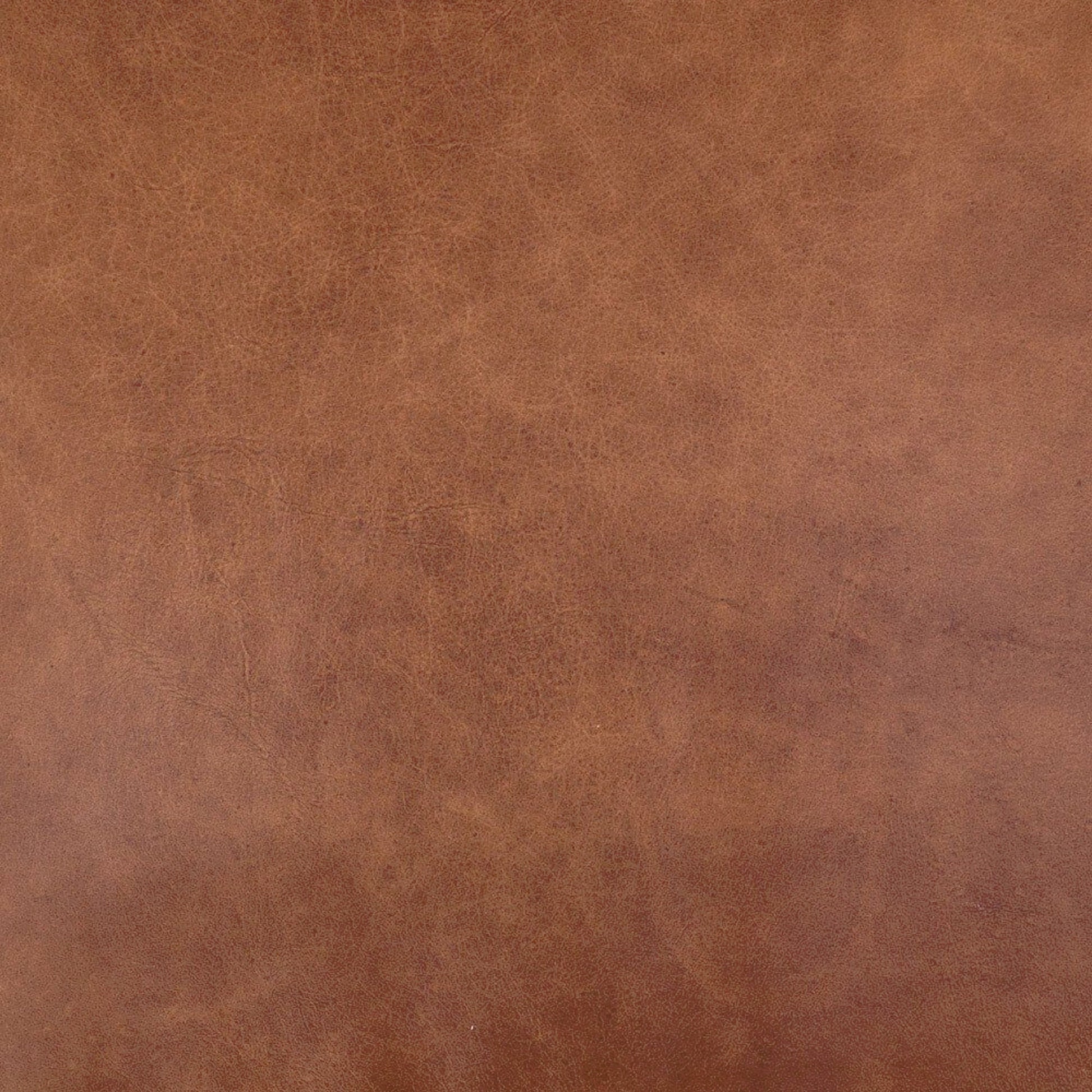 Braden Chair by Four Hands. Made from top grain leather, solid oak, 100% polyester in a modern style.