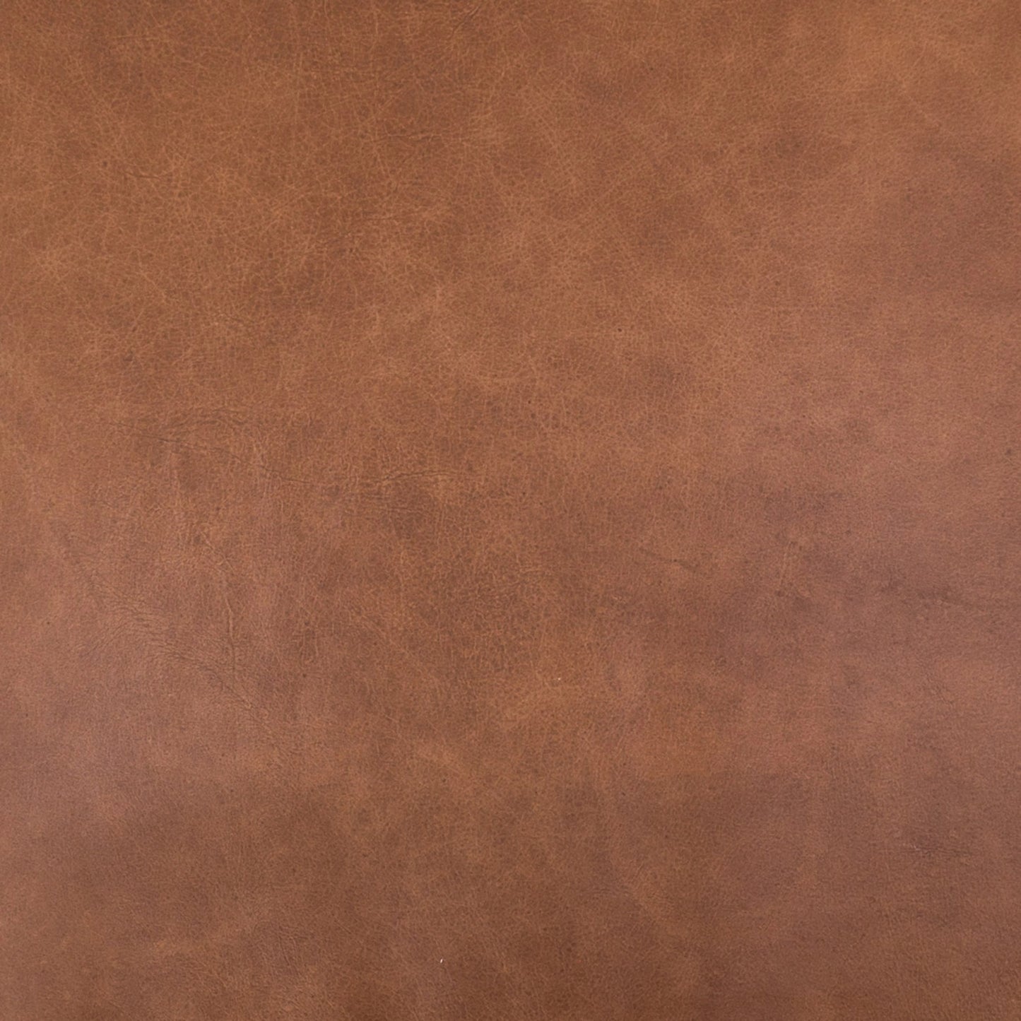 020 SI-1980130 | Additional Silo | Braden Chair by Four Hands. Made from top grain leather, solid oak, 100% polyester in a modern style.