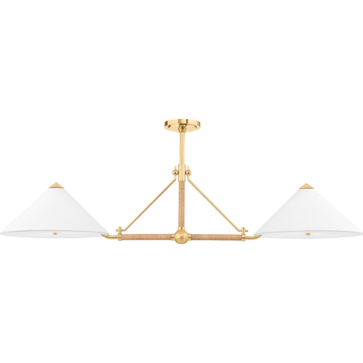 001 SI-1831402 | Primary Silo | Williamsburg Linear Pendant by Hudson Valley in aged brass. Made from steel in a transitional style.