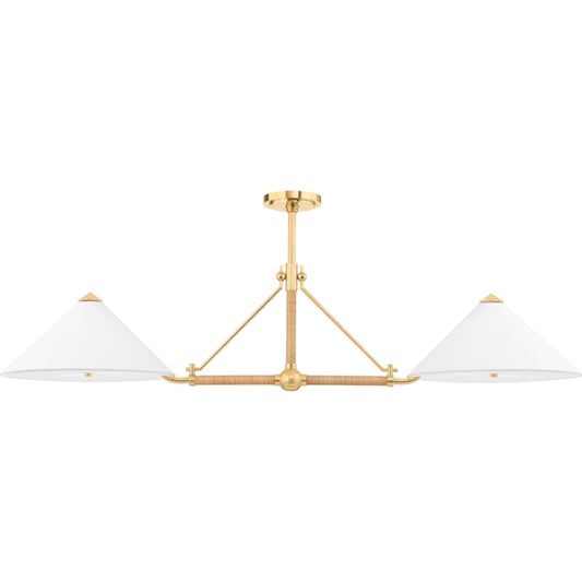 Williamsburg Linear Pendant by Hudson Valley in aged brass. Made from steel in a transitional style.