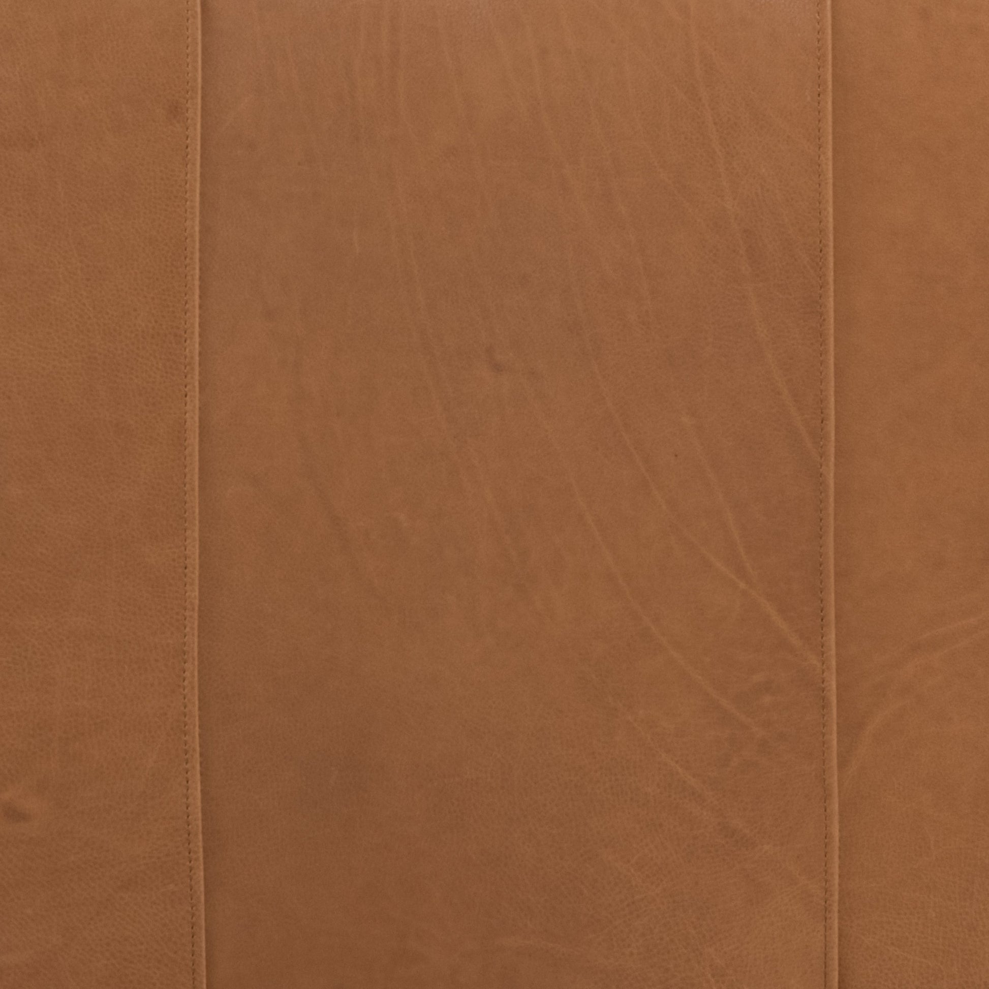 Larkin Sofa by Four Hands in cigar, antique oak, antique brass nailhead. Made from top grain leather, solid ash, iron in a modern style.