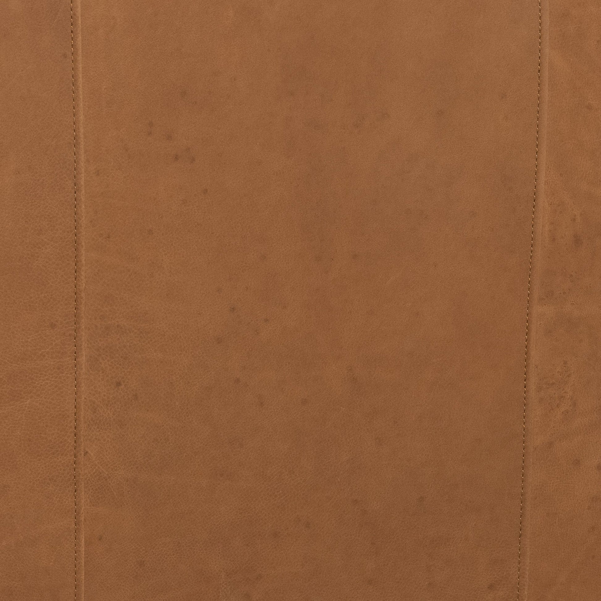 Larkin Sofa by Four Hands in cigar, antique oak, antique brass nailhead. Made from top grain leather, solid ash, iron in a modern style.