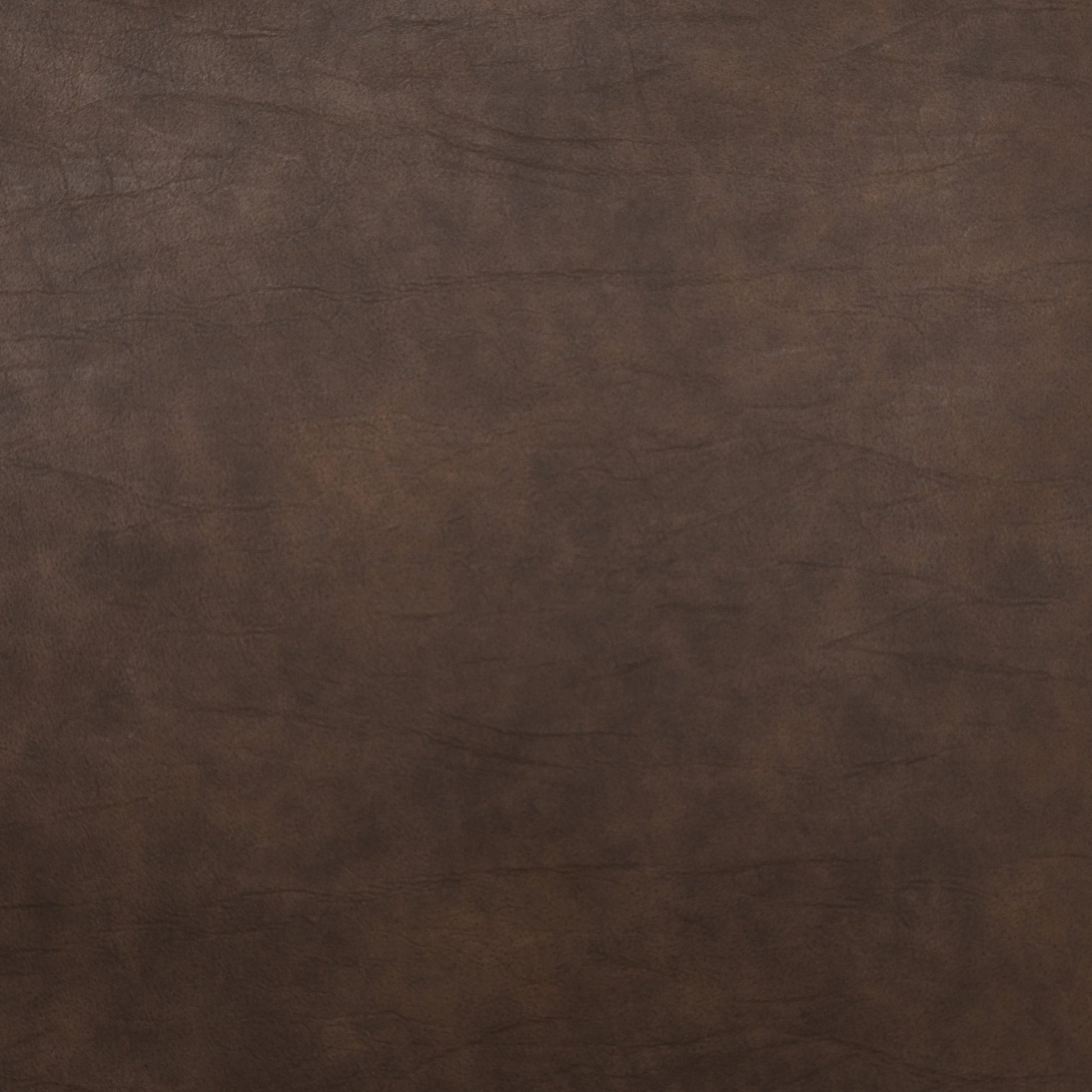 Wharton Dining Chair by Four Hands. Made from unique in a modern style.