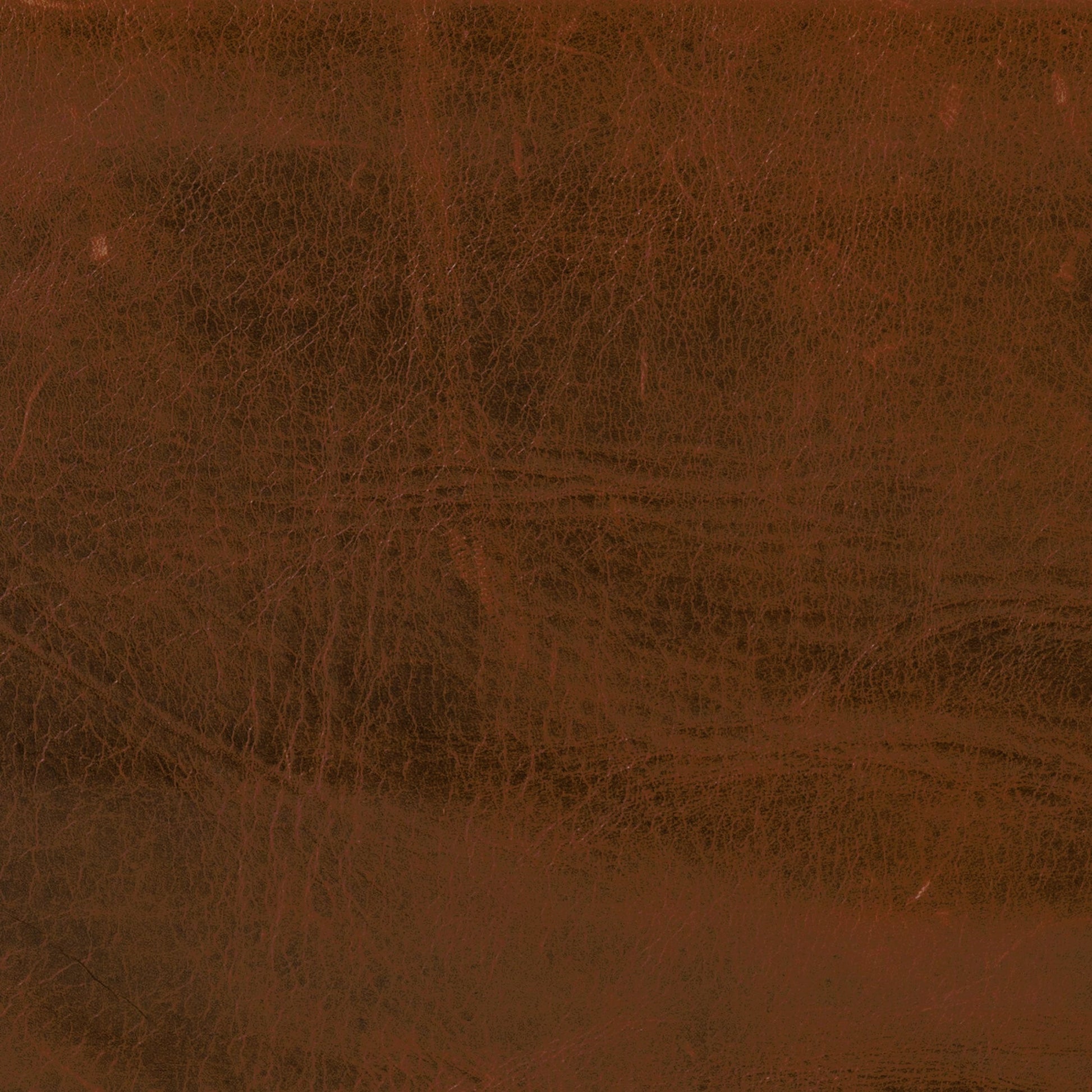 Emmett Sling Chair by Four Hands. Made from top grain leather, iron, 100% polyester in a modern style.