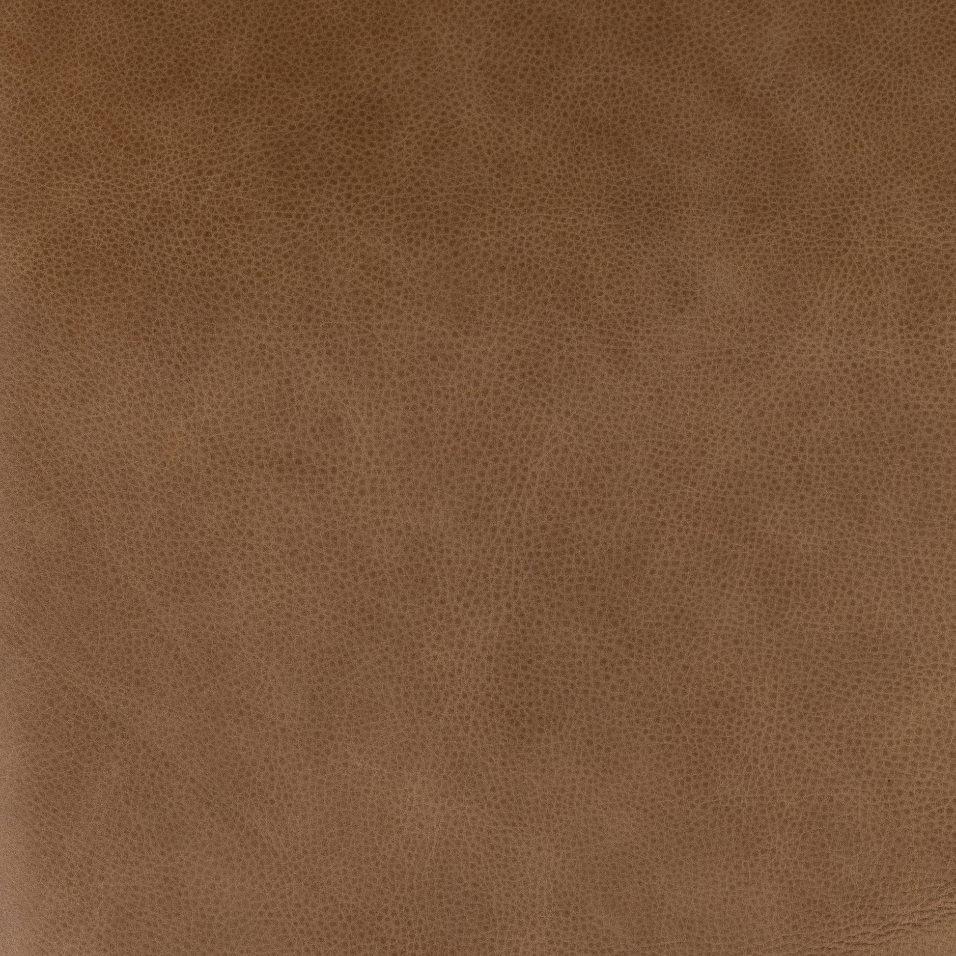 Taryn Chair by Four Hands. Made from top grain leather, iron, 100% polyester in a modern style.