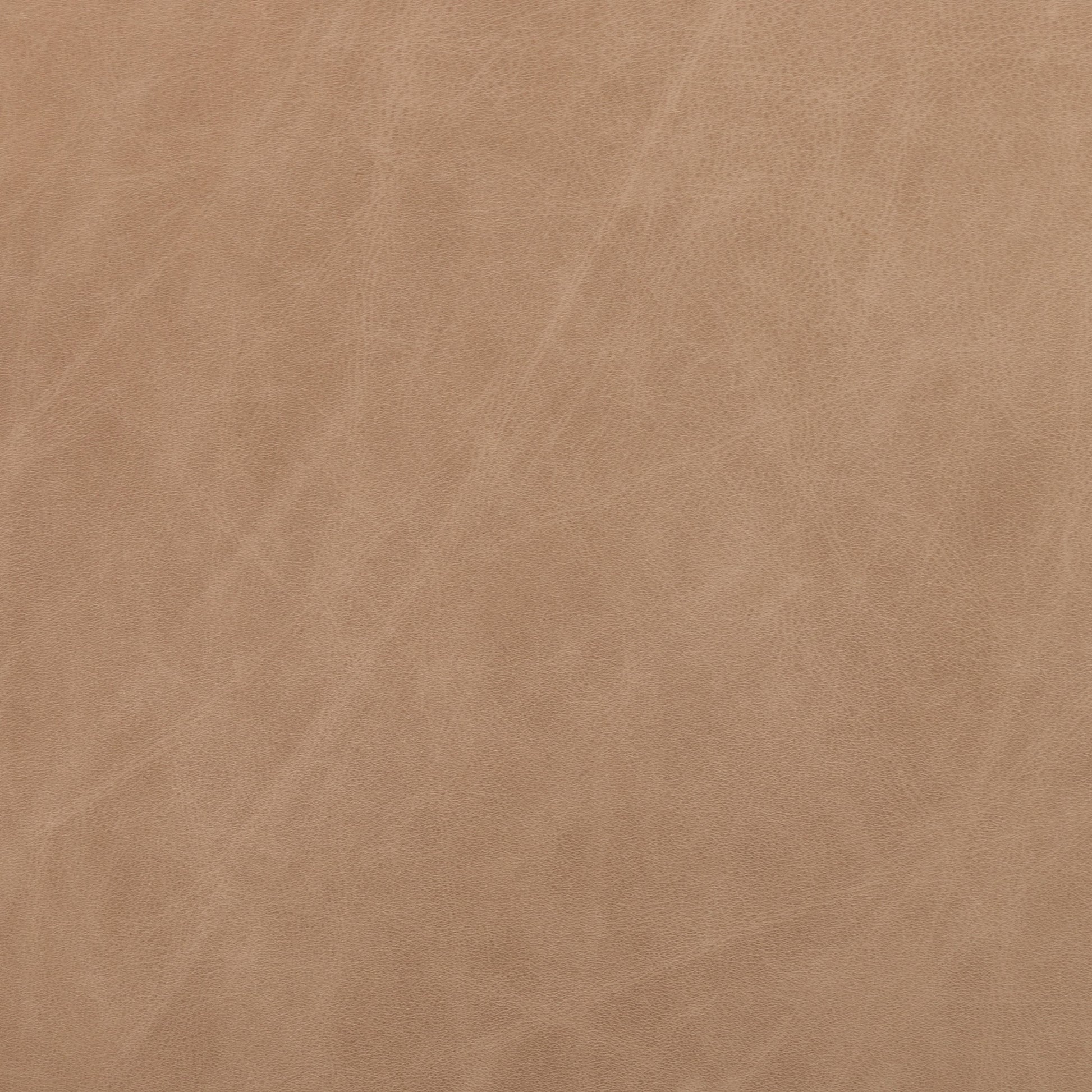 Diana Chair by Four Hands in sonoma butterscotch. Made from top grain leather, solid parawood, 100% polyester in a modern style.