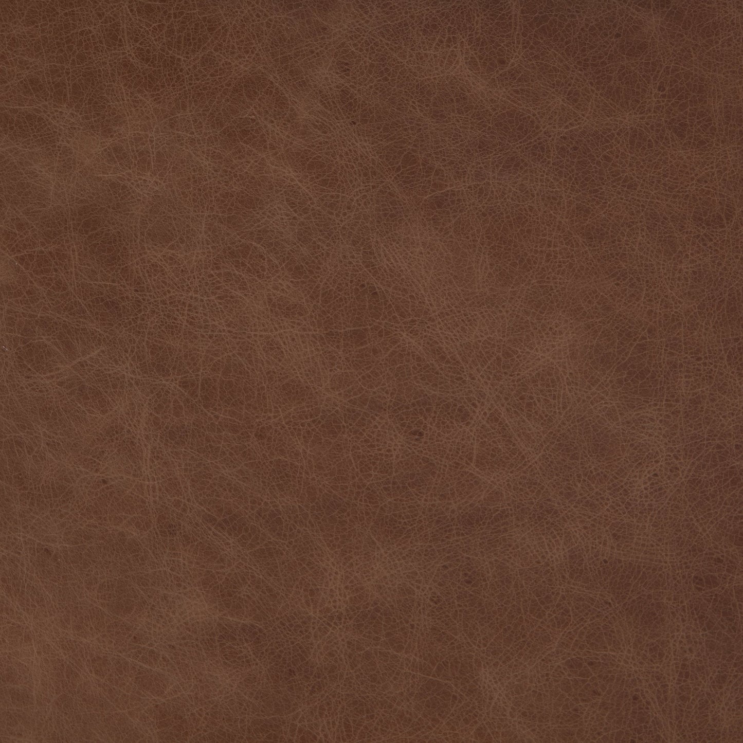 022 SI-1714141 | Closeup | Alice Dining Chair by Four Hands. Made from top grain leather, solid beech in a modern style.