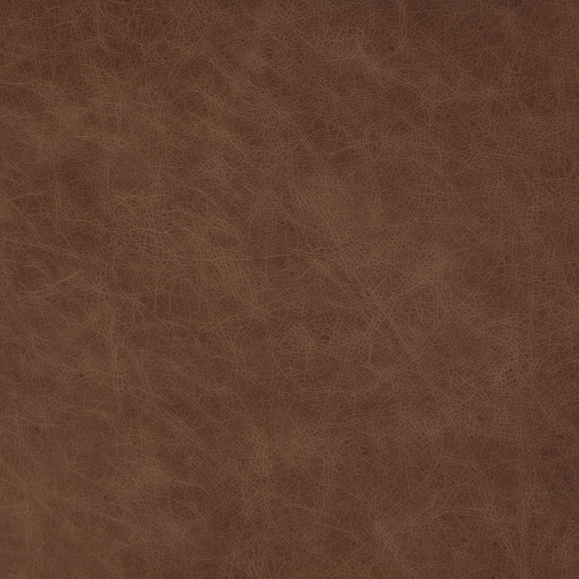 Alice Dining Chair by Four Hands. Made from top grain leather, solid beech in a modern style.