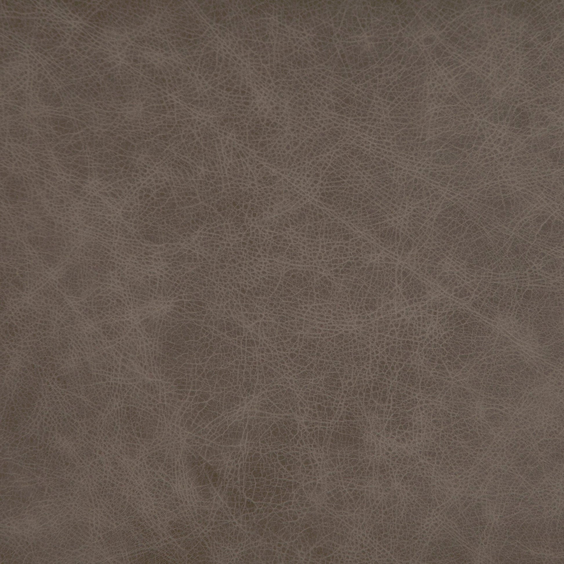 Alice Dining Chair by Four Hands. Made from top grain leather, solid beech in a modern style.