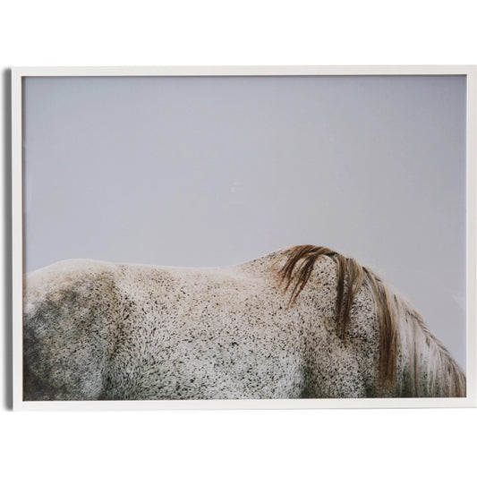 Graze by FH Art Studio by Four Hands. Made from matte paper in a modern style.