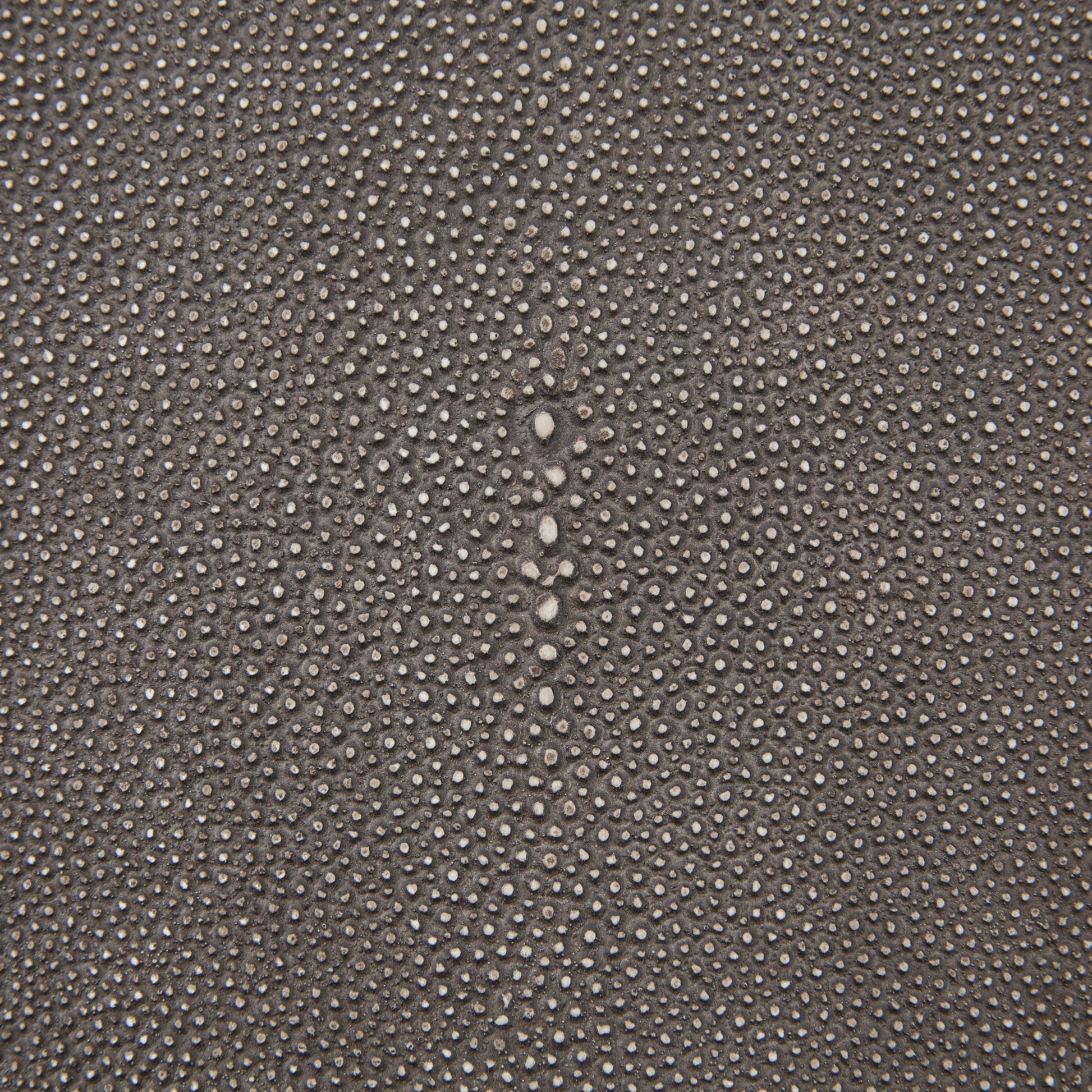 Shagreen Desk by Four Hands in grey shagreen, antique brass and antique brass. Made from faux shagreen, iron in a modern style.