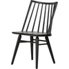 Black Oak