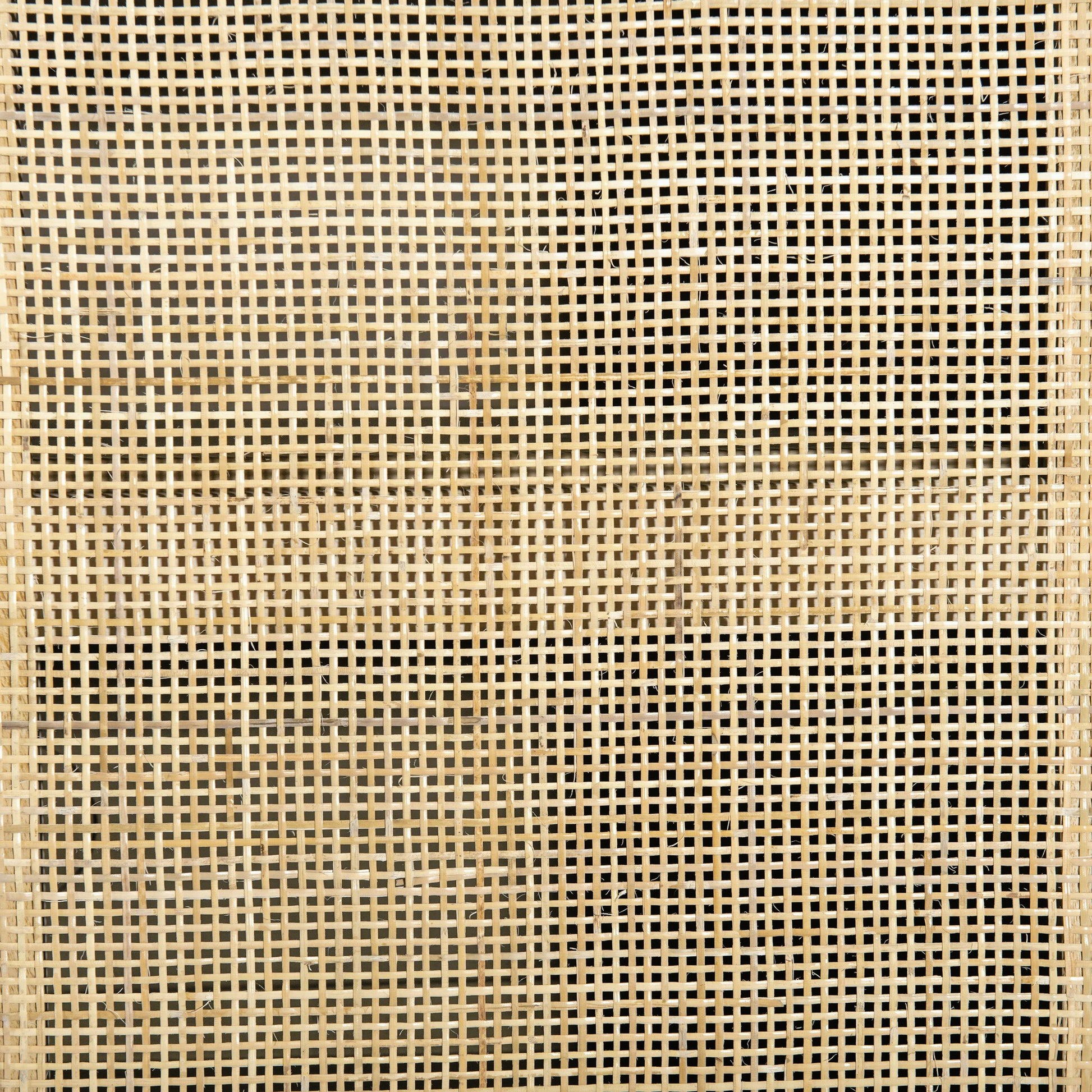 Caprice Cabinet by Four Hands in black wash mango, black natural cane. Made from cane, solid mango in a eclectic & global style.
