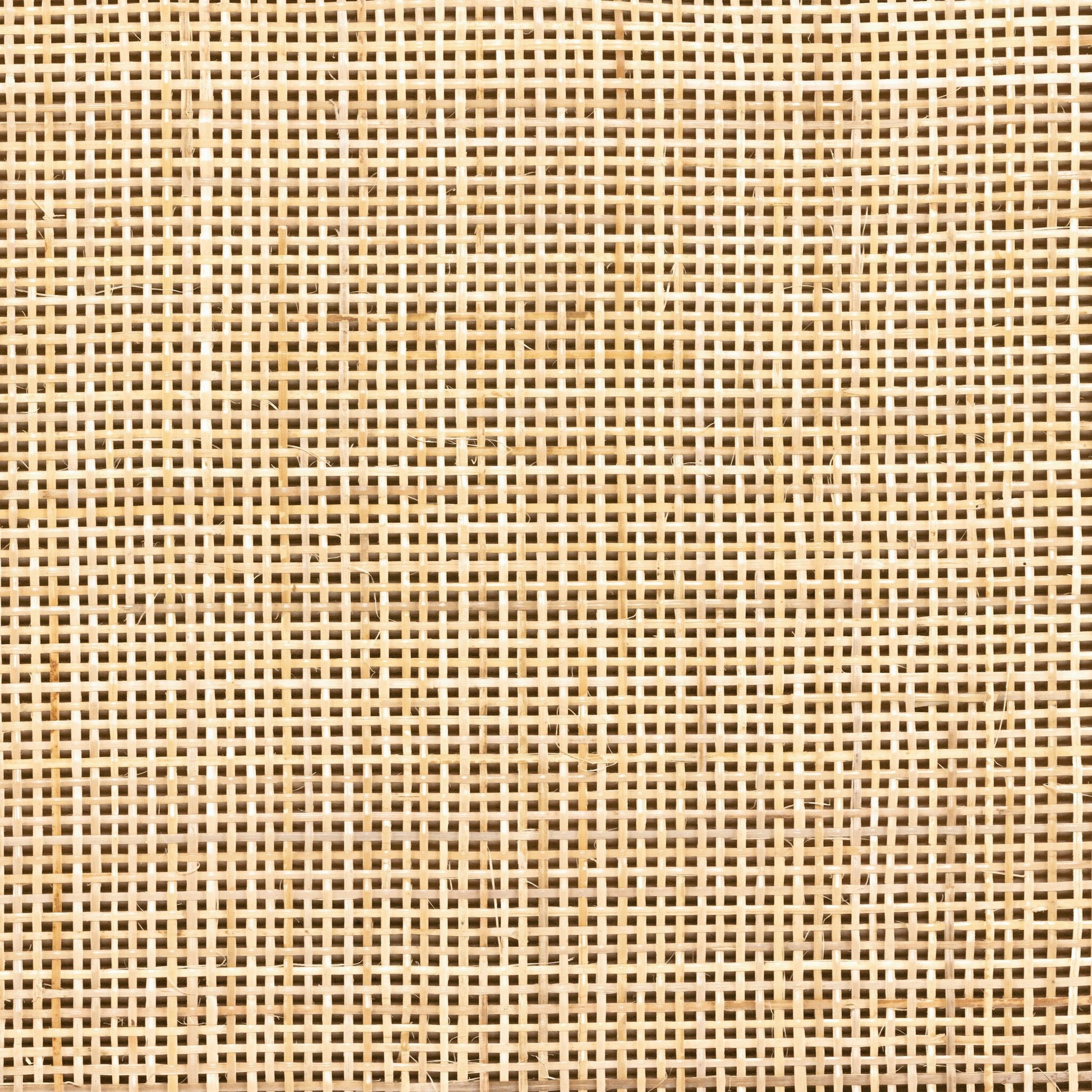 Caprice Bar Cabinet by Four Hands in natural mango, natural cane. Made from solid mango, cane in a coastal style.