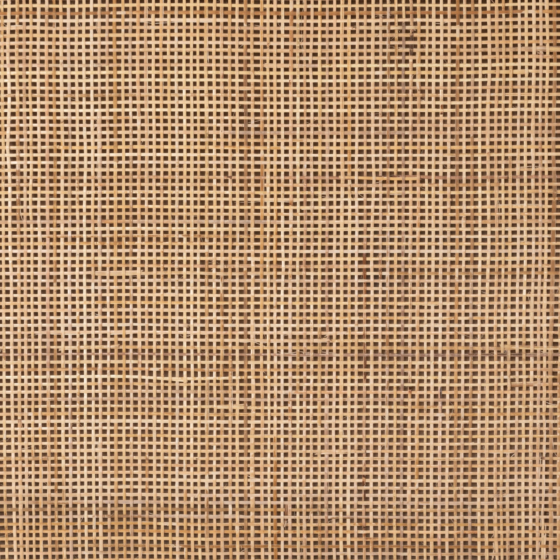 Caprice Bar Cabinet by Four Hands in natural mango, natural cane. Made from solid mango, cane in a coastal style.