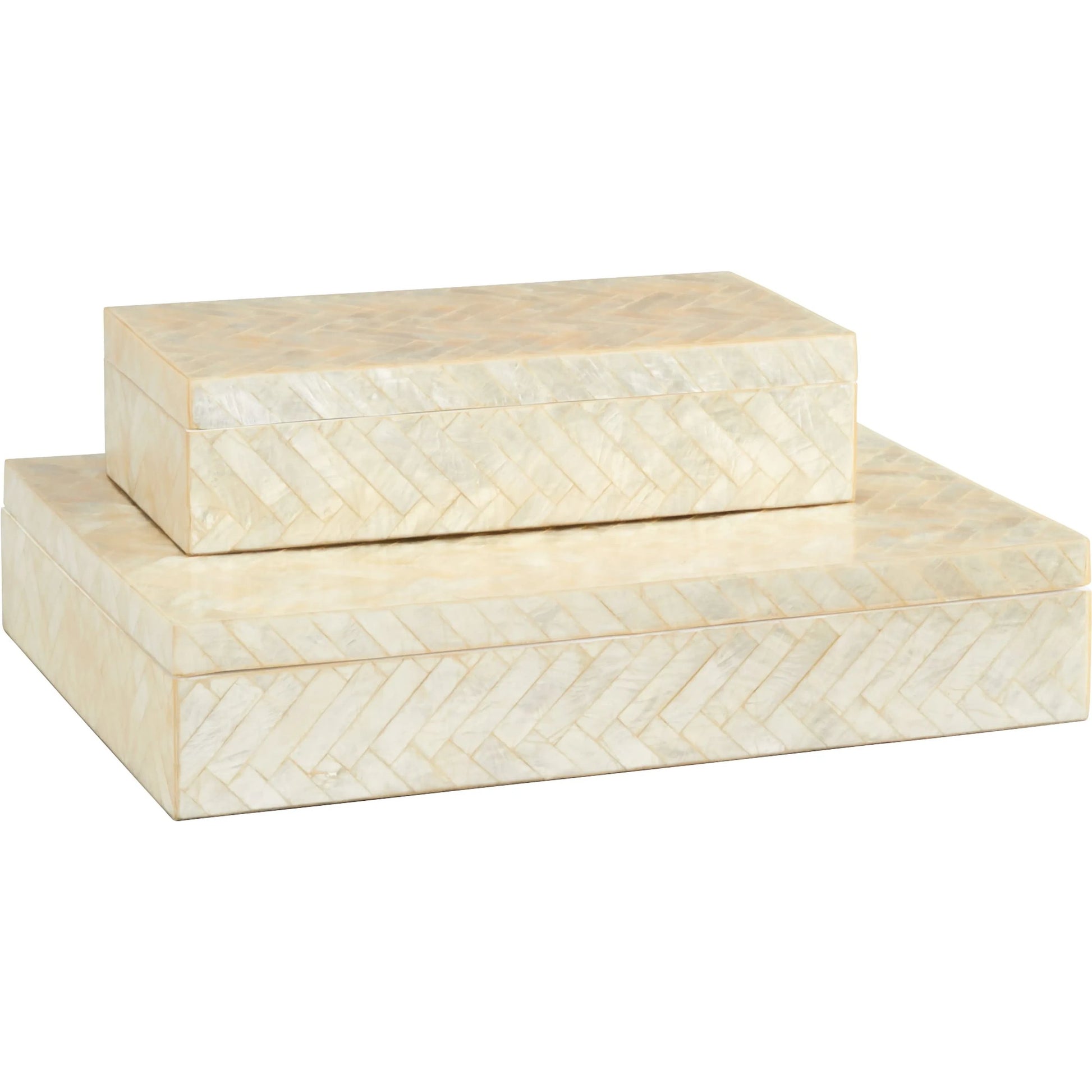 Triton Rectangle Box by Cyan Design. Made from unique in a transitional style.