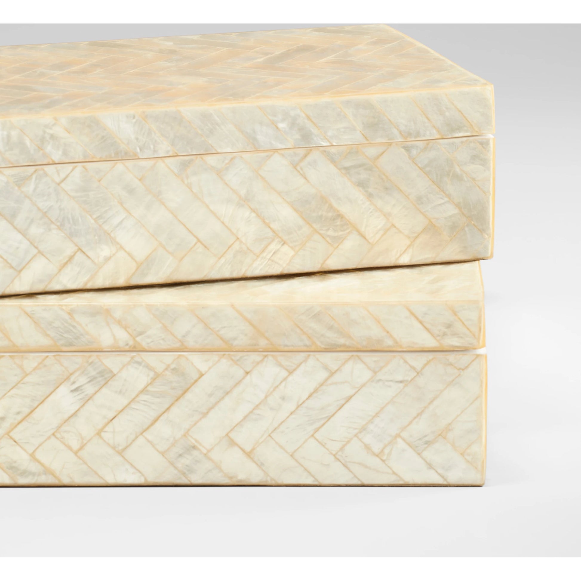 Triton Rectangle Box by Cyan Design. Made from unique in a transitional style.