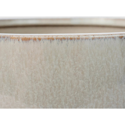 Elevated Bowl Shellish Grey - Medium by Cyan Design in shellish grey. Made from unique in a modern style.