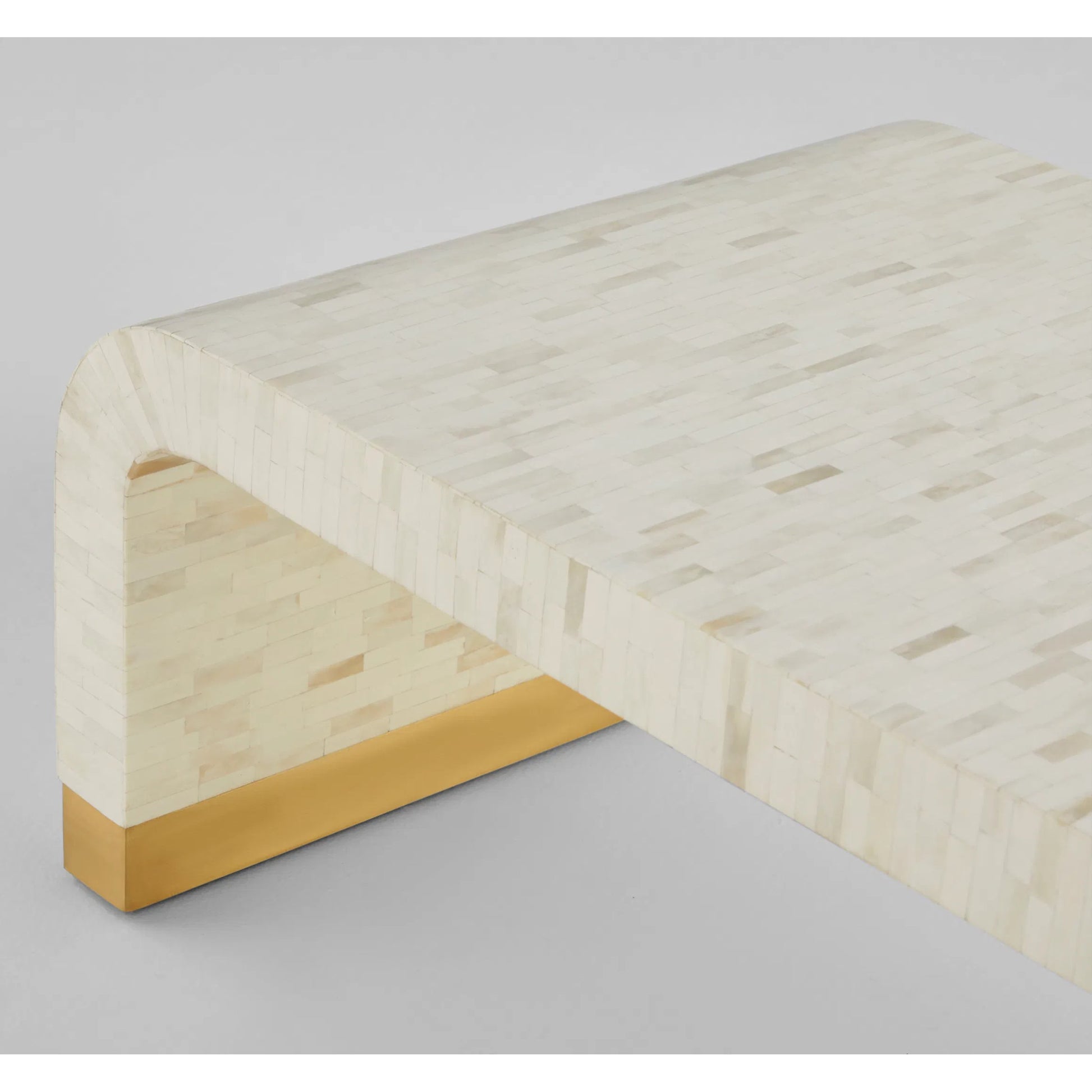 Cascada Cocktail Table by Cyan Design in natural bone, brass. Made from bone, mdf, brass in a transitional style.