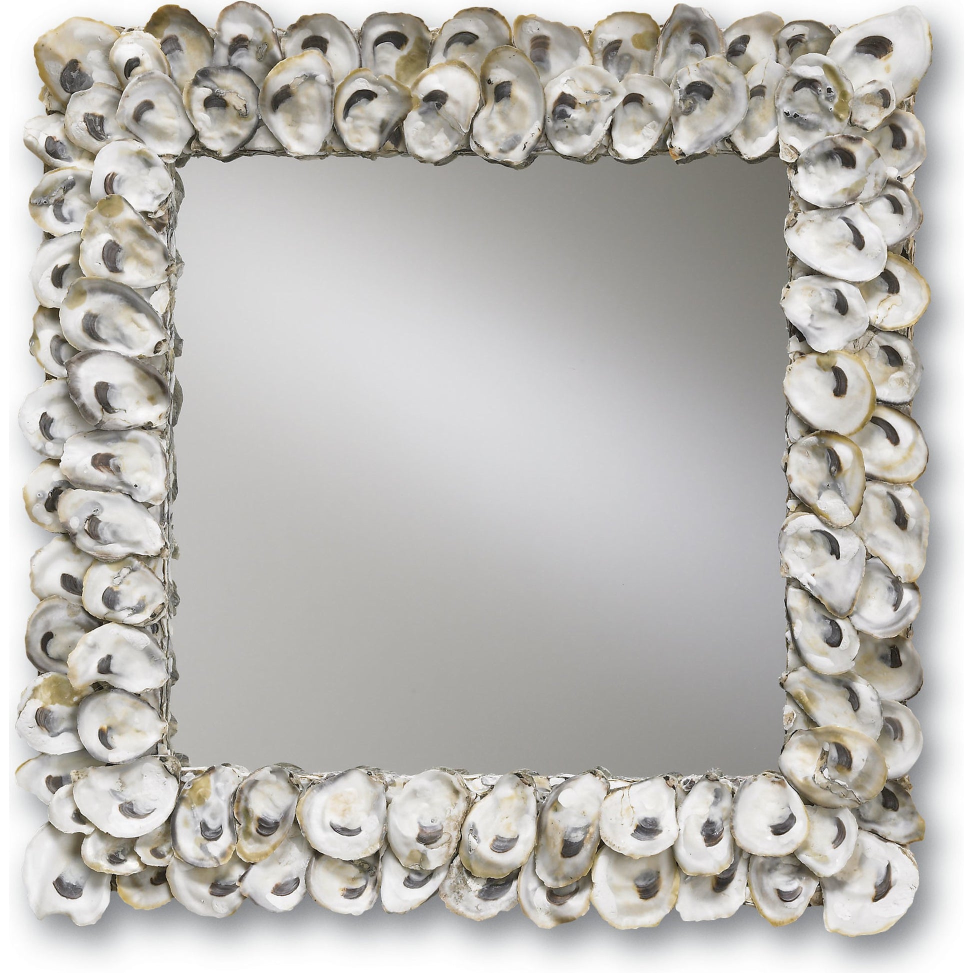 Oyster Shell Mirror by Currey and Company in natural shell. Made from wood, oyster shell, mirror in a coastal style.