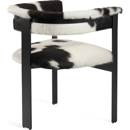 Darcy Dining Chair by Interlude Home. Made from unique in a modern style.