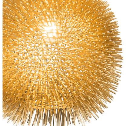Urchin Pendant by Varaluz. Made from unique in a modern style.
