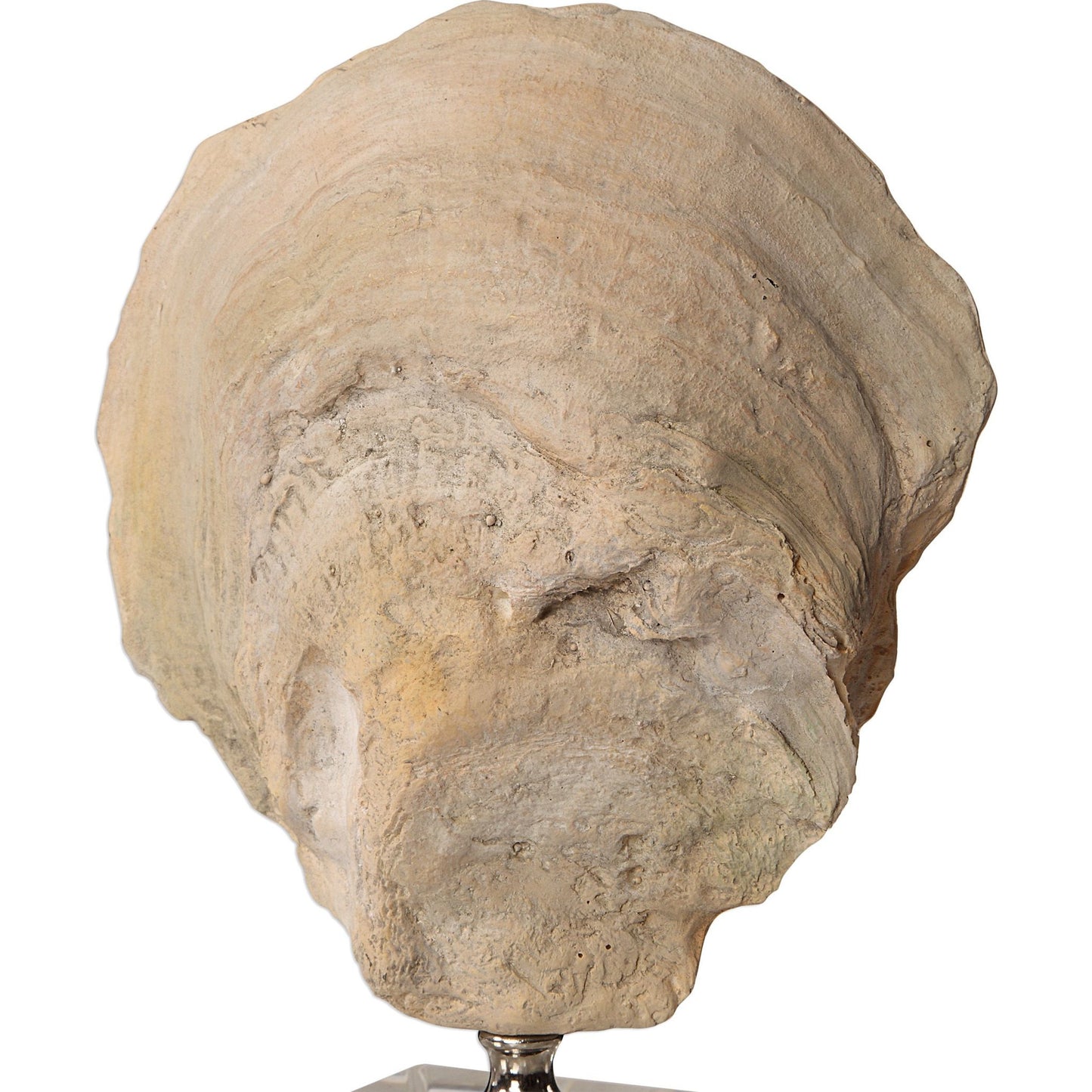 002 S-343722 | Closeup | Oyster Shell Sculptures by Uttermost. Made from resin, crystal, stainless steel in a coastal style.