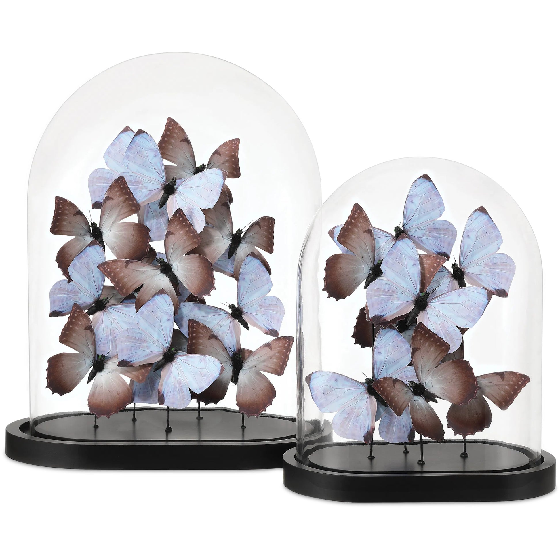 Rue De Bac Butterflies by Currey and Company. Made from paper, engineered wood, glass in a modern style.