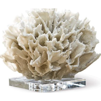 Ribbon Coral by Regina Andrew in white, natural and white. Made from resin in a coastal style.