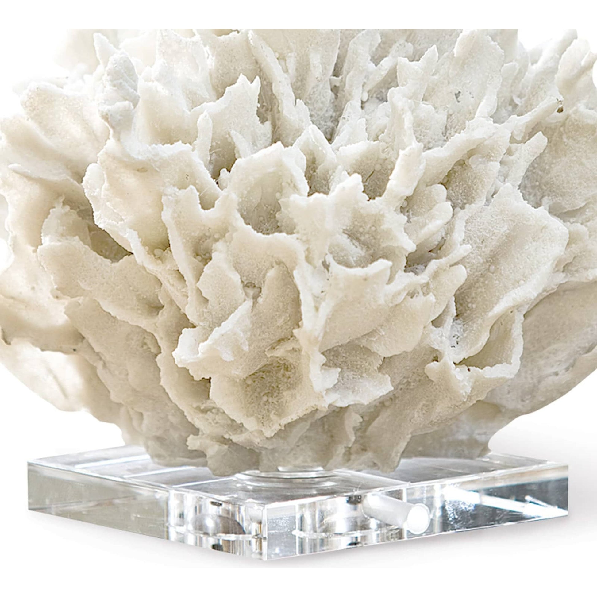 Ribbon Coral by Regina Andrew in white, natural and white. Made from resin in a coastal style.