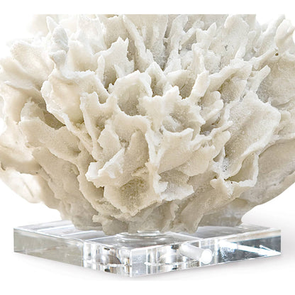 Ribbon Coral by Regina Andrew in white, natural and white. Made from resin in a coastal style.