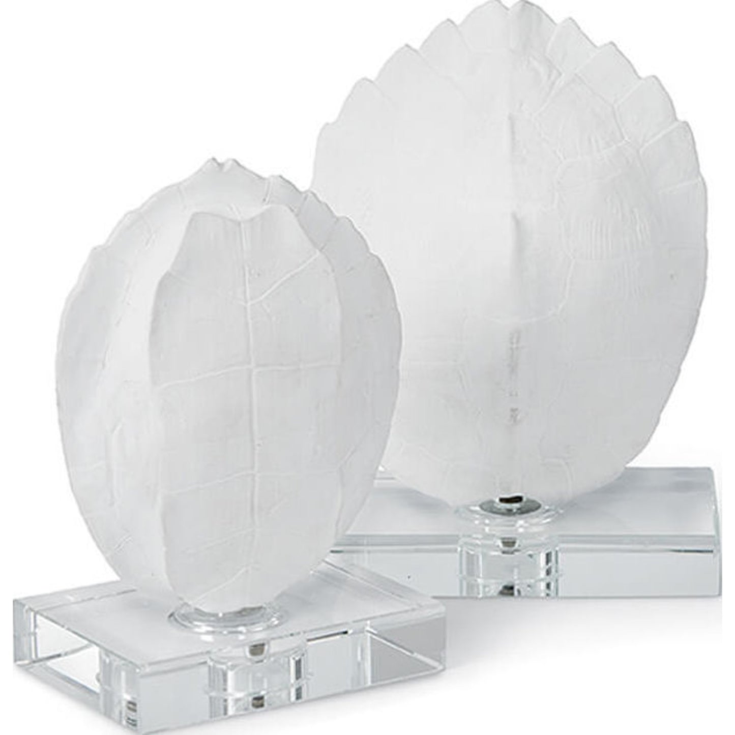 001 S-287335 | Primary Silo | Turtle Shells on Crystal (Set of 2) by Regina Andrew in white, natural. Made from resin in a coastal style.