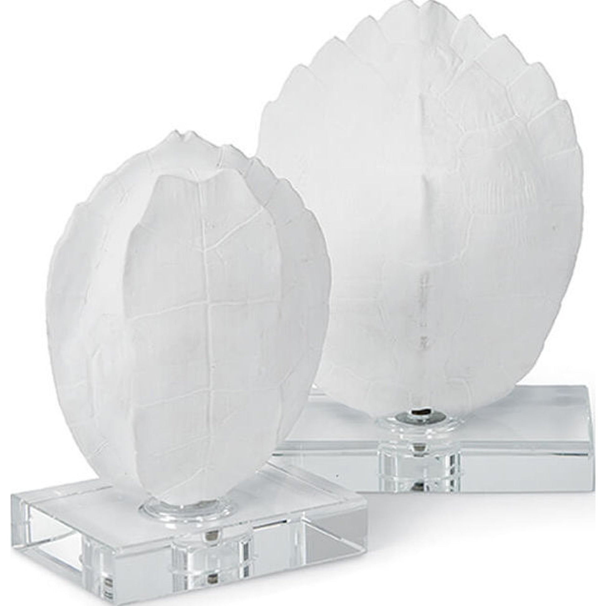 Turtle Shells on Crystal (Set of 2) by Regina Andrew in white, natural. Made from resin in a coastal style.
