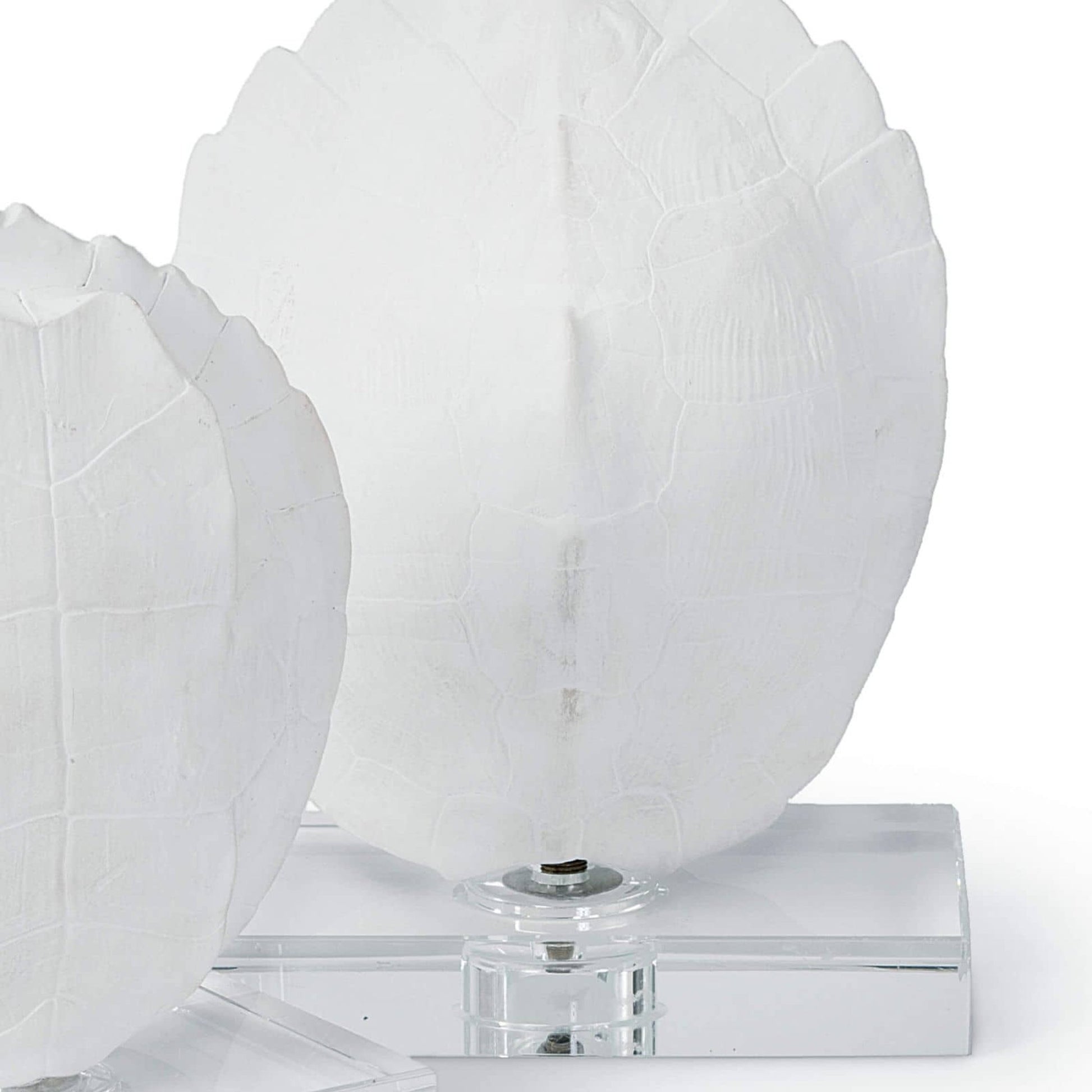 Turtle Shells on Crystal (Set of 2) by Regina Andrew in white, natural. Made from resin in a coastal style.