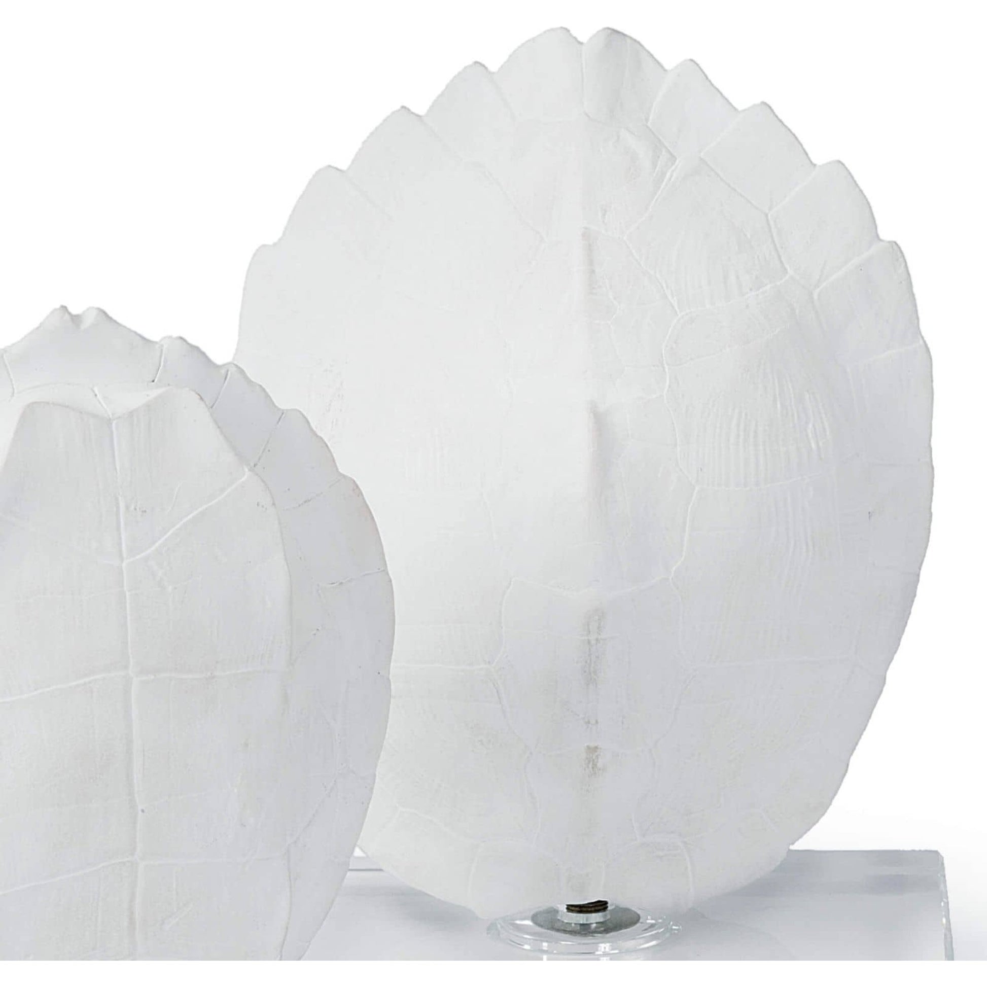 Turtle Shells on Crystal (Set of 2) by Regina Andrew in white, natural. Made from resin in a coastal style.