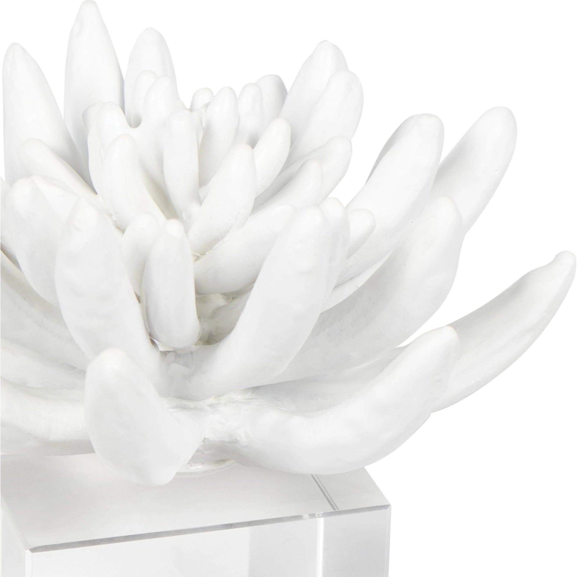 Succulent Resin Sculpture II by Regina Andrew. Made from unique in a modern style.