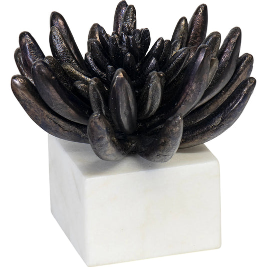 Succulent Resin Sculpture II by Regina Andrew. Made from unique in a modern style.