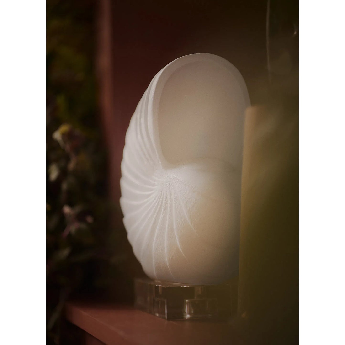 002 SI-2629027 | Lifestyle | Nautilus Shell by Regina Andrew in white and white. Made from resin in a unique style.