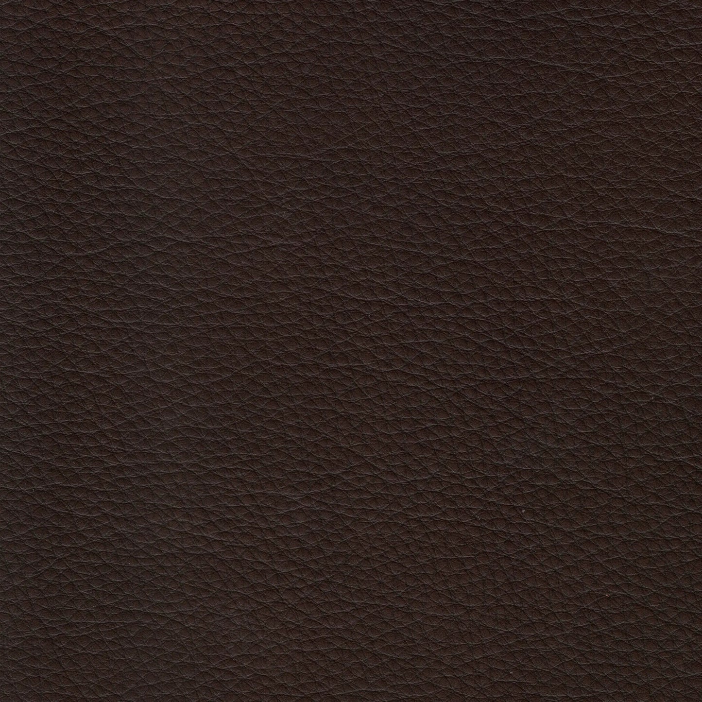 003 SI-2297547 | Closeup | Magnum Sofa by Hydeline in chestnut brown. Made from leather in a traditional style.