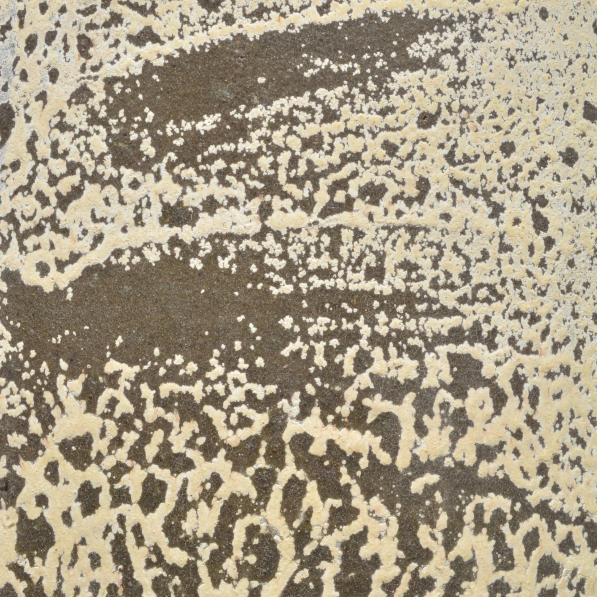 Sicilia Antique White Planter by Currey and Company in greenish white. Made from terracotta in a modern style.