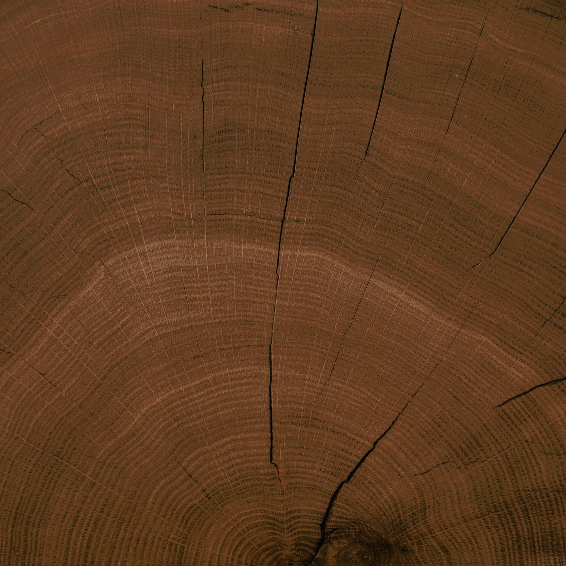 Bates Bunching Table by Four Hands in natural yukas, caramel oak veneer. Made from oak veneer, thick oyster cut, thick yukas veneer in a eclectic & global style.