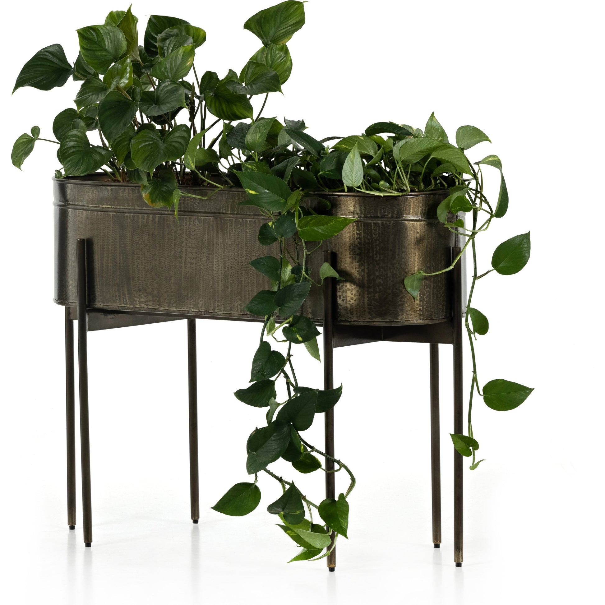 Jed Planter by Four Hands in weathered brass, white high gloss. Made from iron in a transitional style.