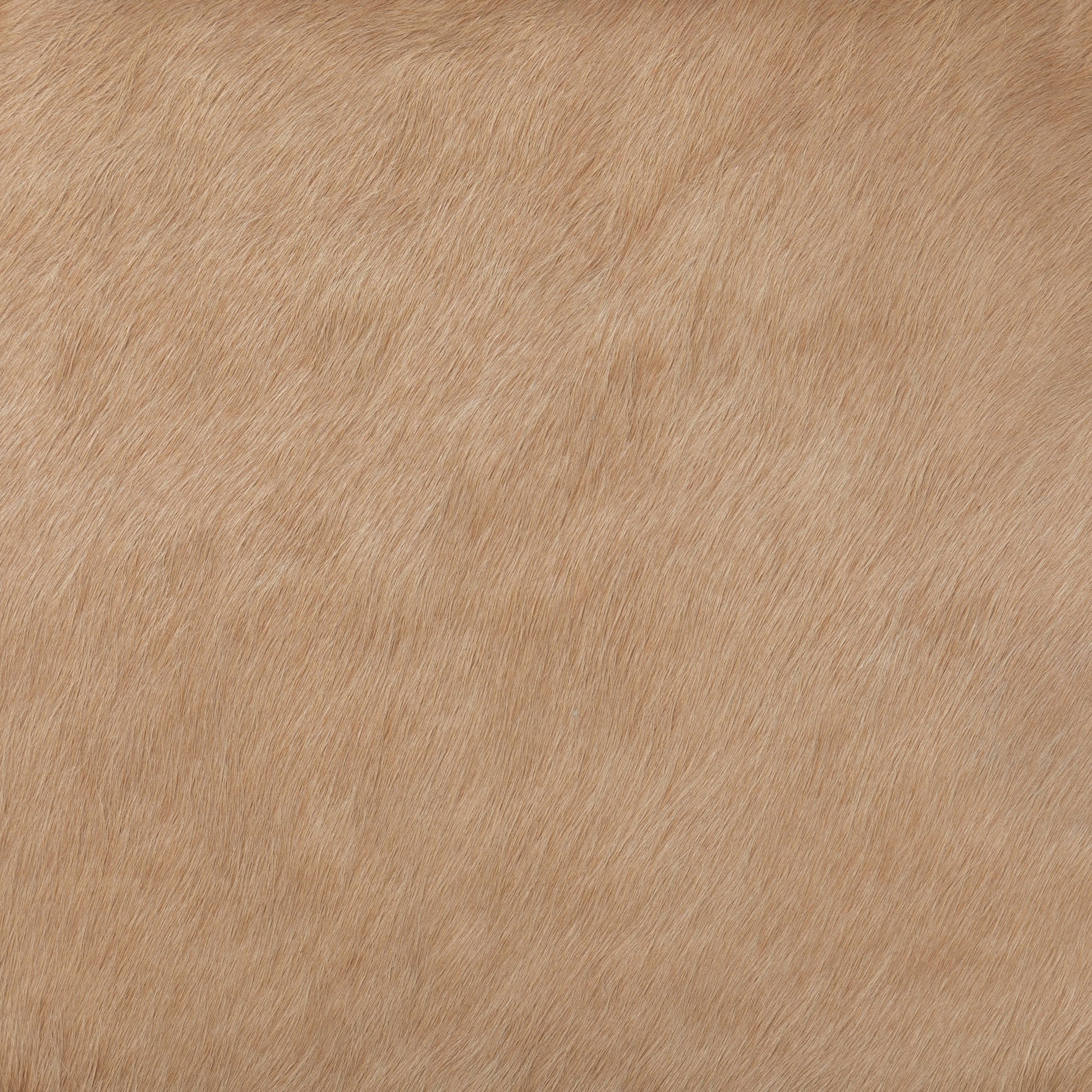 Villa Dining Chair by Four Hands. Made from hair on hide, solid beech, iron in a rustic style.